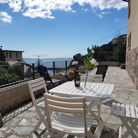 Viola With Seaview